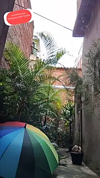 sexyboycolombi4 online show from February 2025 01:38:02 PM