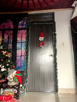  Artemisa X online show from December 2024 09:02:01 PM