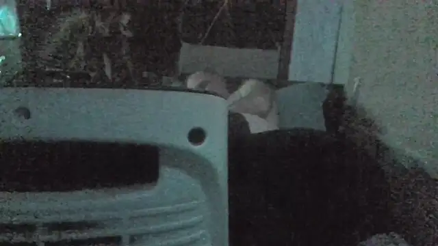 jaxx12369 online show from February 2026 07:01:01 PM