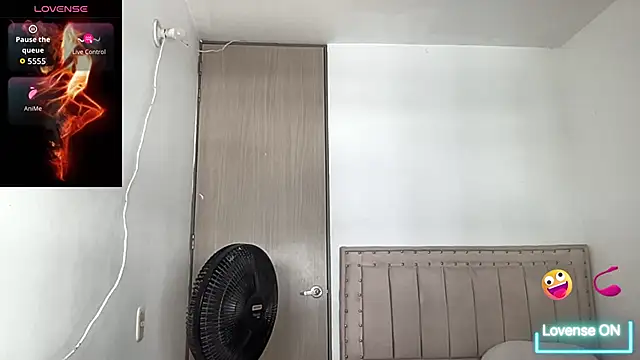 bob petterson online show from November 2025 04:07:01 PM