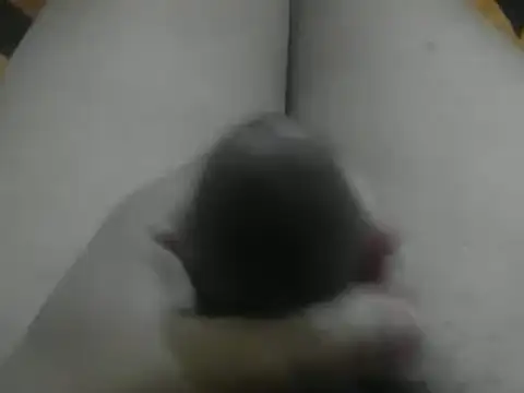 wixssam online show from January 2025 08:43:01 AM