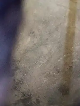 Snapshot of Yasha_14C_Creator chatting on October 2025 10:05:02 AM Yasha 14C Creator online show from October 2025 10:05:02 AM