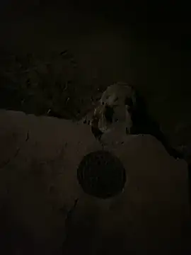 Snapshot of nowex18 chatting on March 2025 06:52:02 AM nowex18 online show from March 2025 06:52:02 AM