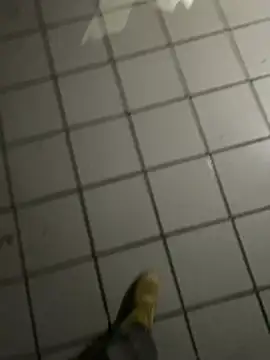 Snapshot of nowex18 chatting on February 2026 04:53:02 AM nowex18 online show from February 2026 04:53:02 AM