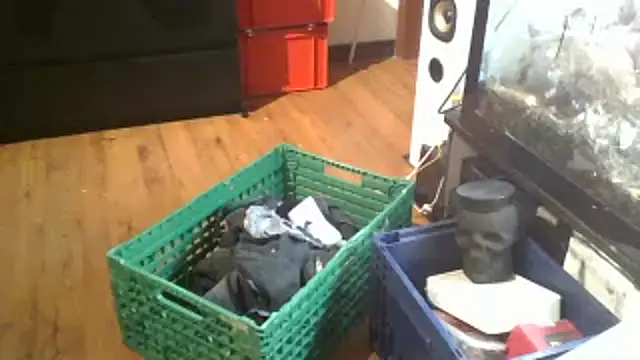 0815lukas2024 online show from January 2025 11:59:02 PM