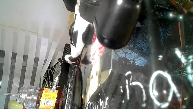 0815lukas2024 online show from September 2025 09:14:01 PM