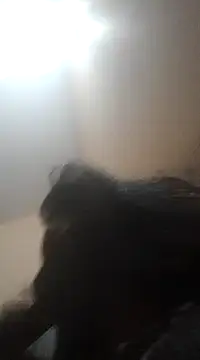 Snapshot of Sajal-03 chatting on December 2024 04:51:02 PM Sajal-03 online show from December 2024 04:51:02 PM