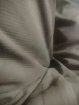 Snapshot of Working- chatting on December 2025 12:11:02 PM Working- online show from December 2025 12:11:02 PM