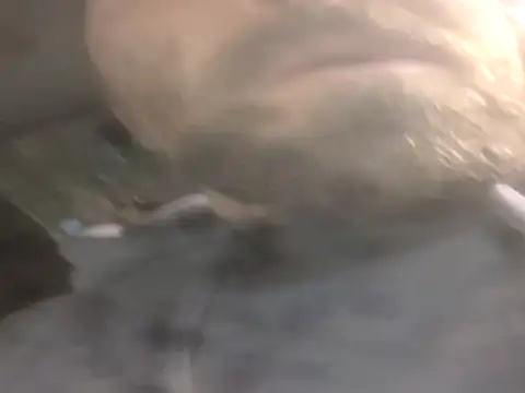 jwiththethickone413 online show from November 2025 05:52:01 PM