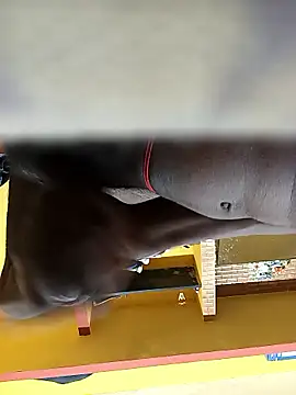 Tamil boy age28 online show from January 2026 03:34:01 AM