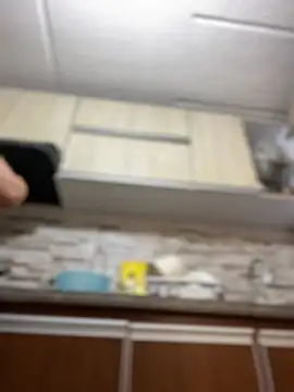 Salome golvert online show from March 2025 04:53:01 PM