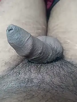 Snapshot of sat_1234 chatting on January 2025 03:58:02 PM sat 1234 online show from January 2025 03:58:02 PM