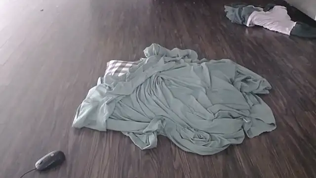 steelwood303 online show from February 2026 07:50:02 PM