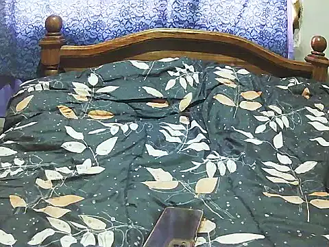 DiAntool online show from November 2025 07:56:02 PM