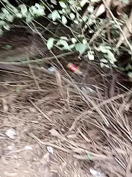 Snapshot of RockyNonStop chatting on December 2024 02:43:02 AM RockyNonStop online show from December 2024 02:43:02 AM