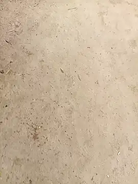 Snapshot of RockyNonStop chatting on January 2025 04:44:01 AM RockyNonStop online show from January 2025 04:44:01 AM