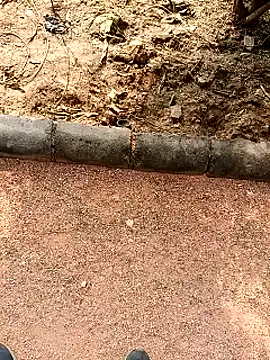 Snapshot of RockyNonStop chatting on January 2025 07:04:02 AM RockyNonStop online show from January 2025 07:04:02 AM