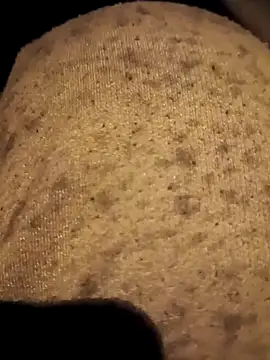 Snapshot of RockyNonStop chatting on January 2025 09:54:01 PM RockyNonStop online show from January 2025 09:54:01 PM