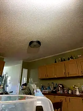 Snapshot of velvetta_ chatting on December 2025 04:51:01 AM velvetta online show from December 2025 04:51:01 AM