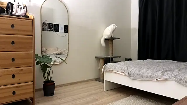 vse horosho online show from November 2025 05:23:01 PM