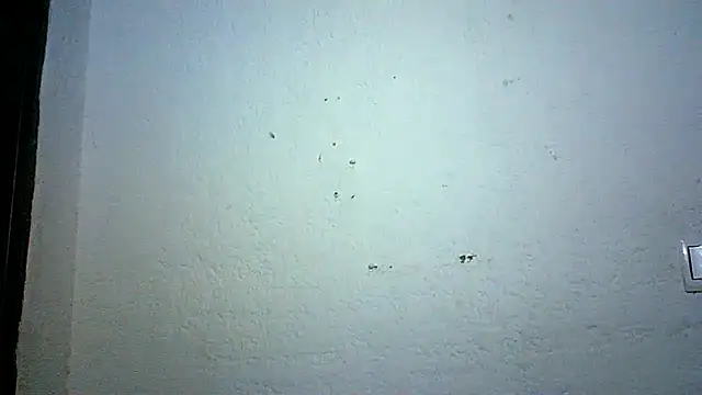 Bellabeltrann online show from October 2025 09:12:02 PM