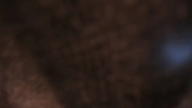 AliceHanz online show from January 2026 04:26:01 AM