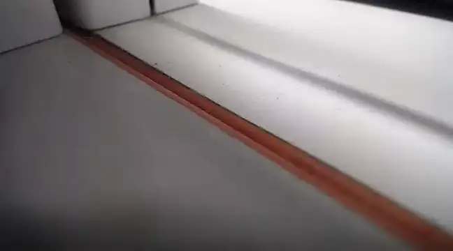 Snapshot of Lovensetest chatting on February 2025 01:46:02 AM Lovensetest online show from February 2025 01:46:02 AM