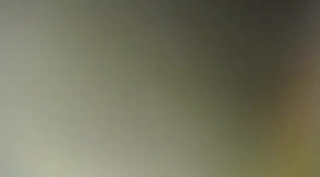 Snapshot of Lovensetest chatting on March 2025 08:52:01 AM Lovensetest online show from March 2025 08:52:01 AM