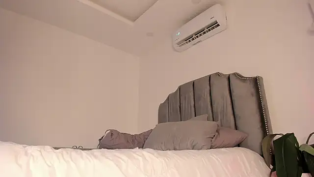 molly cams8 online show from January 2025 02:11:02 AM