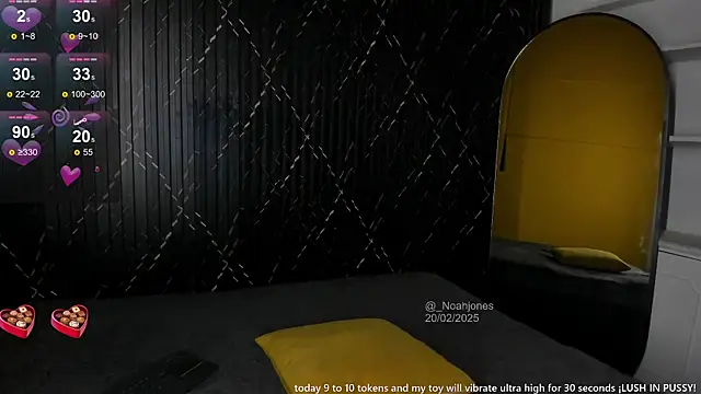 Snapshot of _noahjones chatting on February 2025 12:15:02 PM noahjones online show from February 2025 12:15:02 PM