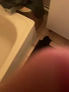 Snapshot of dimitriei chatting on December 2024 12:08:01 AM dimitriei online show from December 2024 12:08:01 AM