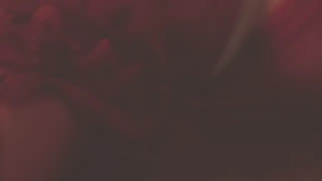 Snapshot of oxiris_1 chatting on January 2025 01:48:01 AM oxiris 1 online show from January 2025 01:48:01 AM