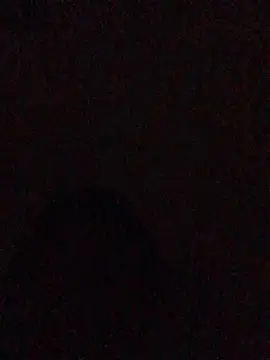 hoot07089 online show from December 2024 02:54:01 AM