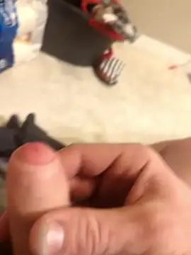 Snapshot of Bolo23693 chatting on February 2025 01:11:02 PM Bolo23693 online show from February 2025 01:11:02 PM