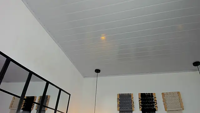 Sweet camille online show from January 2026 02:17:01 AM