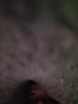 Casablancabig online show from March 2025 12:27:02 AM