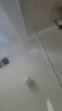 AllLeggs online show from July 2026 03:49:01 PM