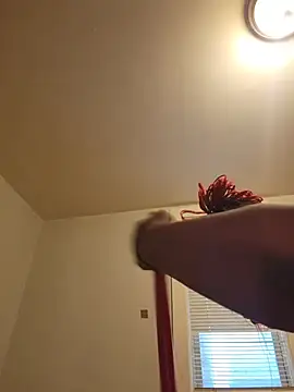 AllLeggs online show from July 2026 12:14:02 AM