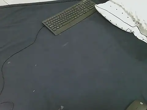 lella-0 online show from February 2026 11:03:01 AM