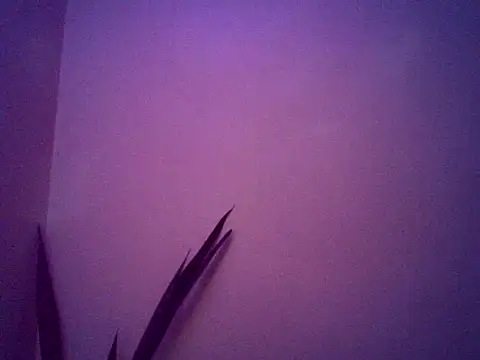 Snapshot of Malandralle chatting on November 2025 05:29:02 AM Malandralle online show from November 2025 05:29:02 AM