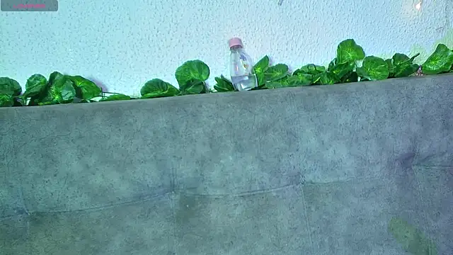 ari kat online show from December 2024 06:28:01 AM