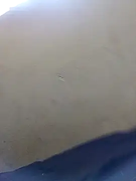 Nasty queen20 online show from February 2025 11:42:02 AM