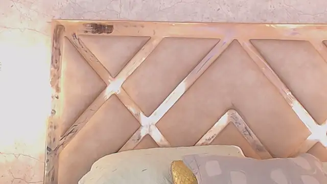 Snapshot of JoannaStanford chatting on November 2025 10:43:02 PM JoannaStanford online show from November 2025 10:43:02 PM