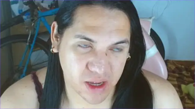 Geisha Seniers online show from January 2026 11:36:02 AM