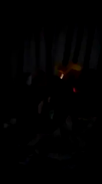 bogbosdick online show from February 2025 03:12:01 AM