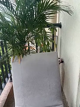 Pretty Isadora online show from March 2026 04:57:01 PM