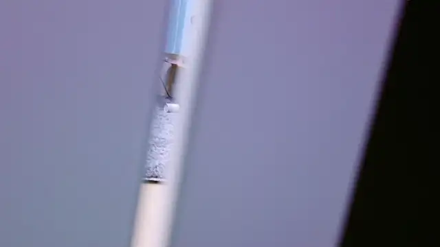 HaruruHappy online show from January 2025 01:29:01 PM