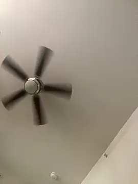 goldbuni online show from December 2024 02:49:02 PM