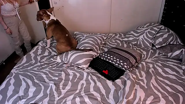 valerie luxe  online show from January 2026 04:39:02 AM