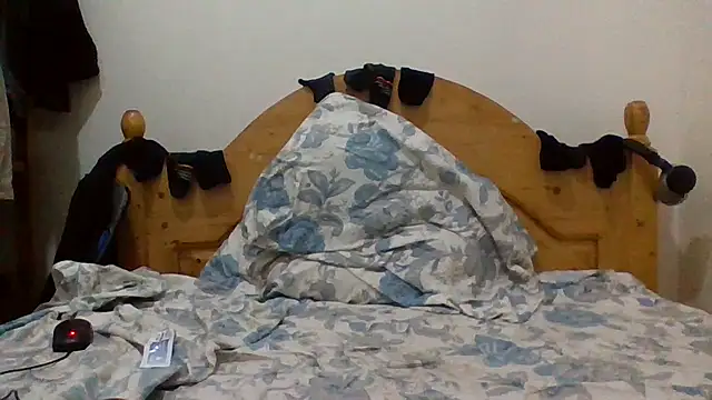 demo2004 online show from March 2026 11:31:02 PM